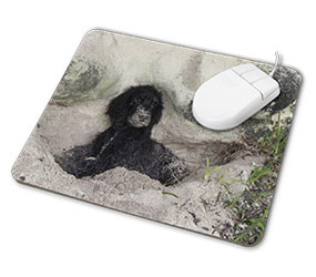 Personalised mouse mat image