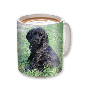 Ceramic mug standard image