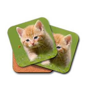 Set of two coasters with single image